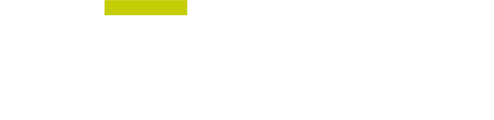 HENZ logo